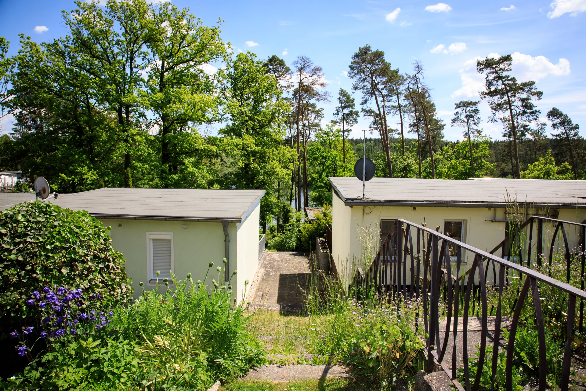 Idyllische Naturlandschaft an der Talsperre Zeulenrodaer Meer im Thüringer Vogtland